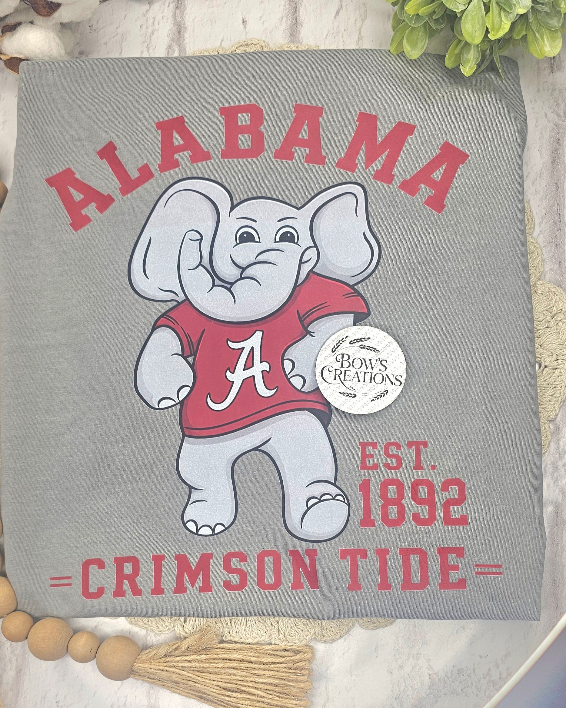 School Spirit T-Shirts
